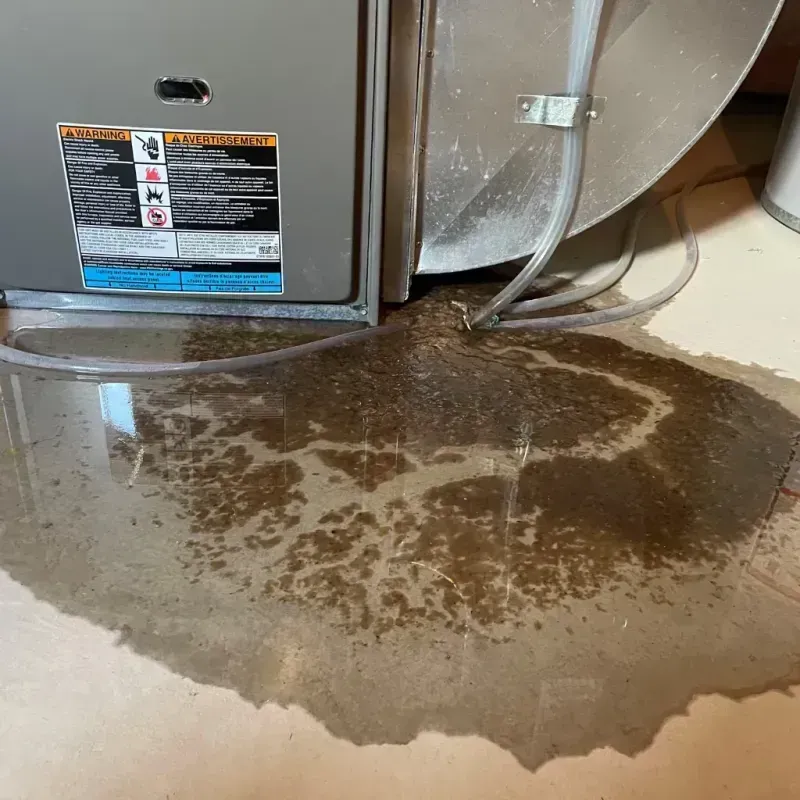 Appliance Leak Cleanup in Blue Lake, CA